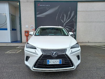 Lexus NX Hybrid 4WD Premium usata