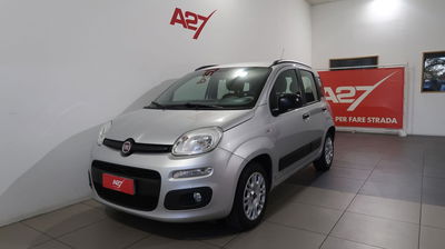 Fiat Panda 1.2 Easy usata