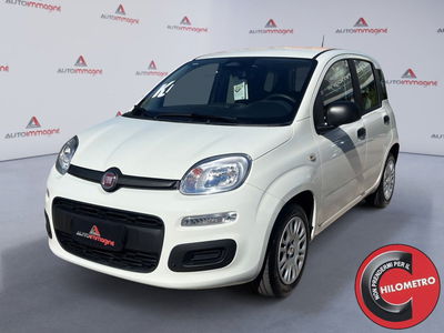 Fiat Panda Cross Cross 1.0 FireFly S&S Hybrid nuova