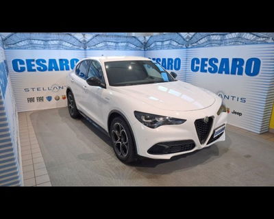 Alfa Romeo Stelvio 2.2 t Veloce Q4 210cv auto usata