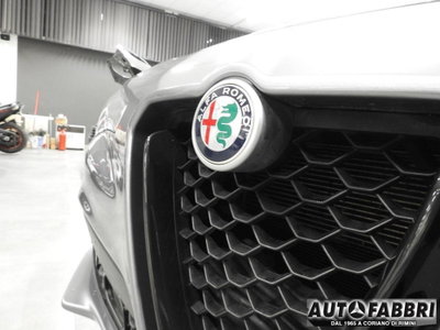 Alfa Romeo Stelvio Stelvio 2.2 Turbodiesel 210 CV AT8 Q4 Veloce (6)