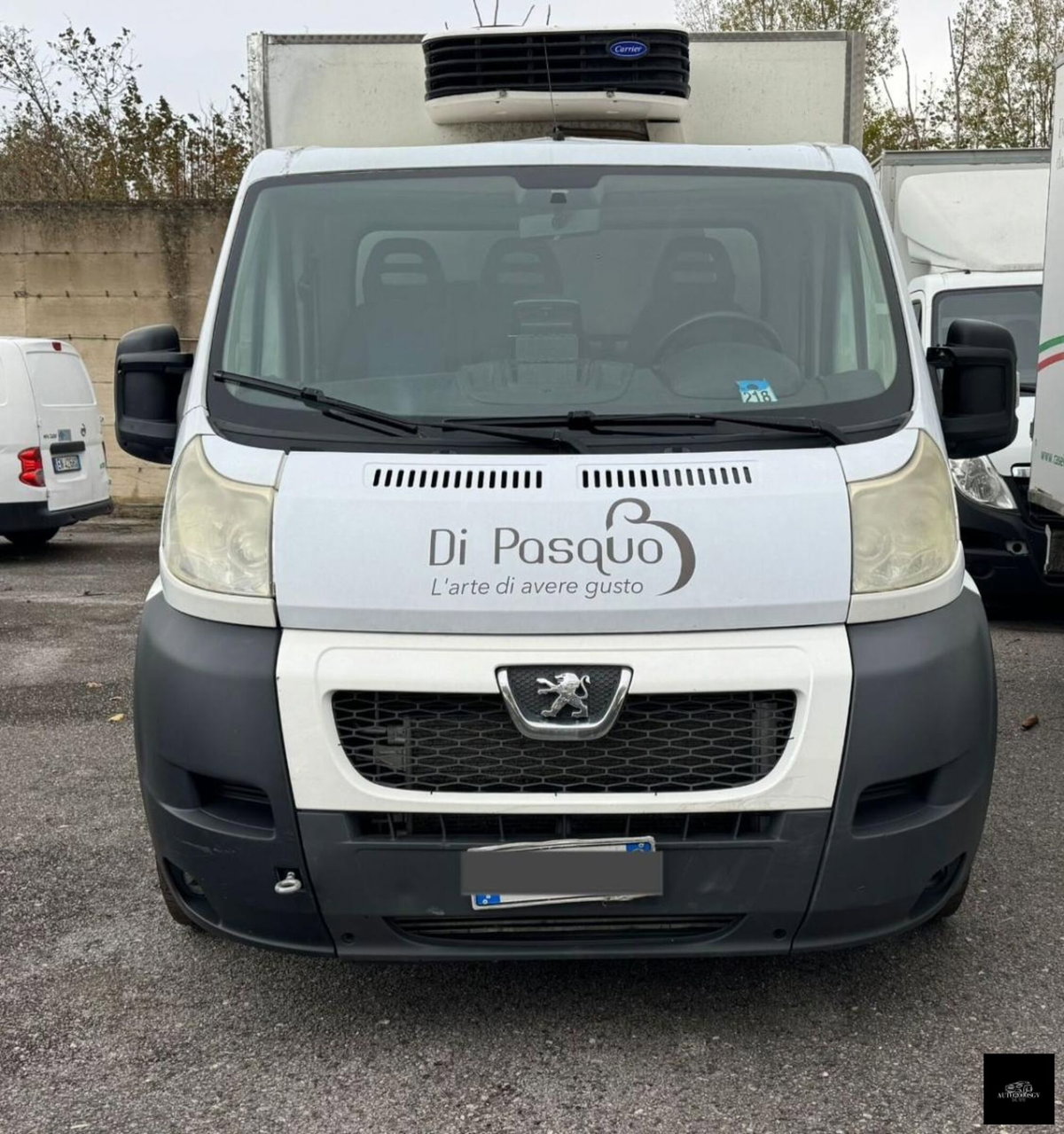 Peugeot Boxer Furgone 330 2.2 HDi/130CV FAP PC-TN Combi Comfort (3)