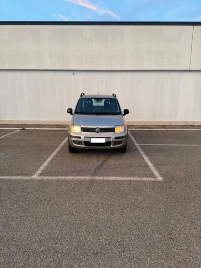 Fiat Panda 1.2 4x4 usata