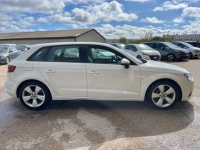 Audi A3 1.6 TDI 105 CV CR Ambiente usata