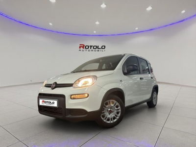 Fiat Panda 1.0 FireFly S&S Hybrid City Cross nuova