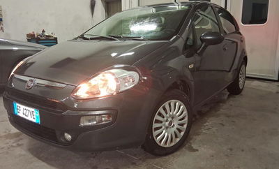 Fiat Punto Evo 1.2 5 porte Active usata