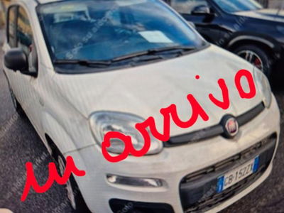 Fiat Panda 1.2 EasyPower Lounge usata