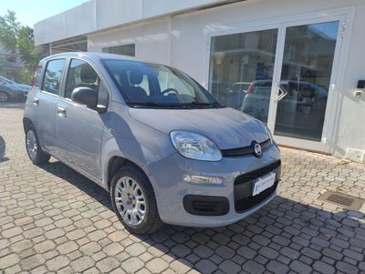 Fiat Panda 1.2 Easy usata