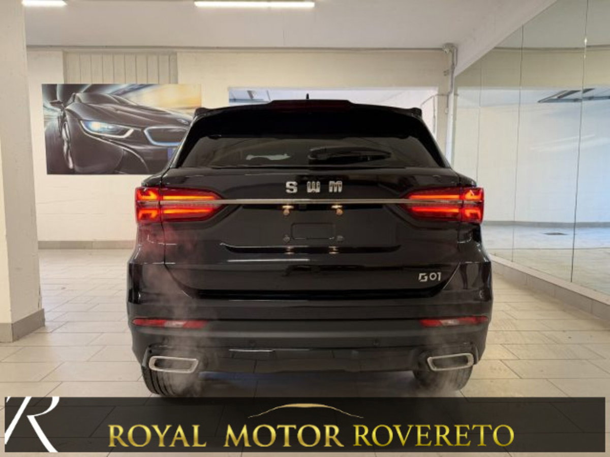 SWM G01 G01 1.5 133cv mt (6)