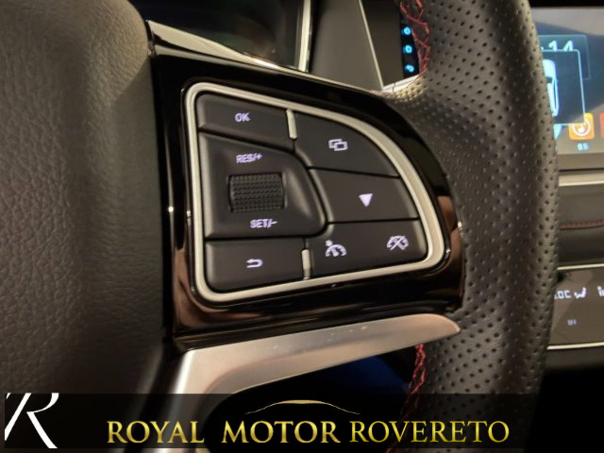 SWM G01 G01 1.5 139cv dct (16)