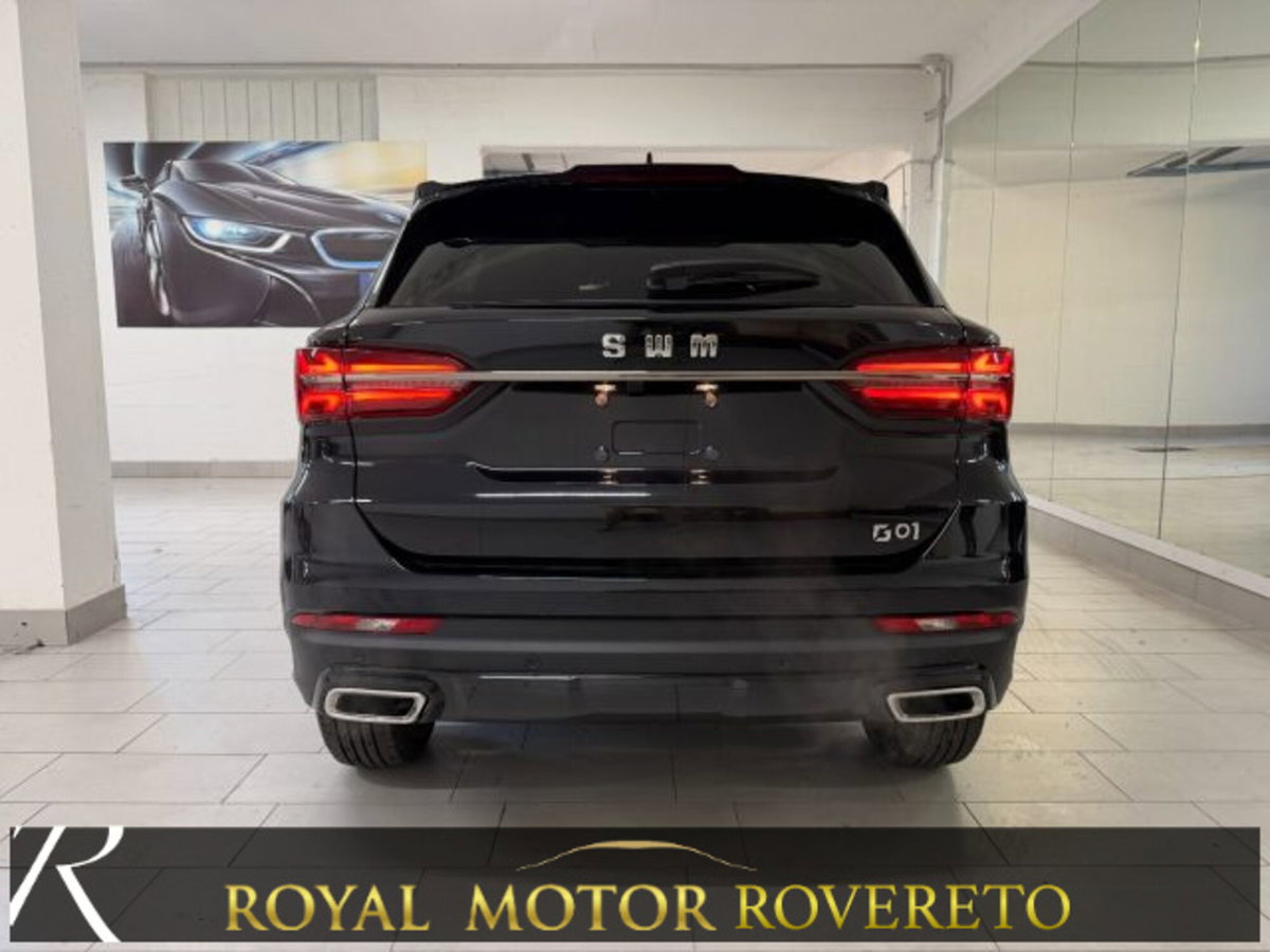 SWM G01 G01 1.5 139cv dct (6)