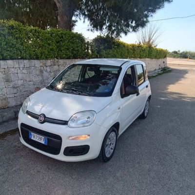 Fiat Panda 1.2 EasyPower Easy usata