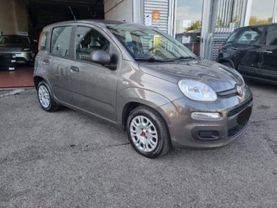 Fiat Panda 1.0 firefly hybrid s&s 70cv 5p.ti usata