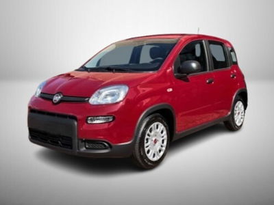 Fiat Panda 1.0 FireFly S&S Hybrid usata