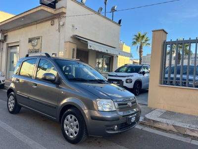 Fiat Panda 1.2 Dynamic usata