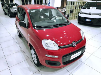 Fiat Panda 0.9 TwinAir Turbo Natural Power Easy usata