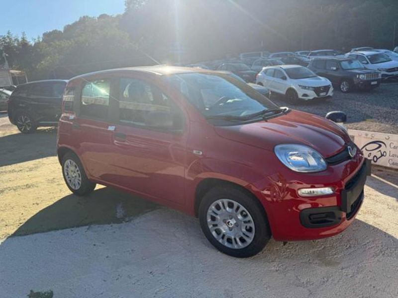 Fiat Panda 1.0 firefly hybrid Icon s&s 70cv