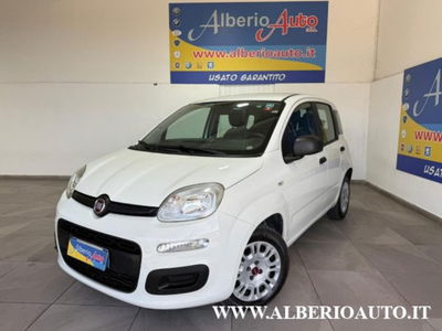 Fiat Panda 1.2 Easy usata