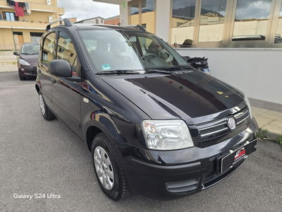 Fiat Panda 1.2 Dynamic usata