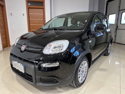 Fiat Panda 1.0 FireFly S&S Hybrid usata