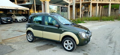 Fiat Panda 1.3 MJT 16V DPF 4x4 Cross usata