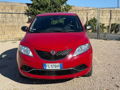Lancia Ypsilon 1.2 69 CV 5 porte Platinum (8)