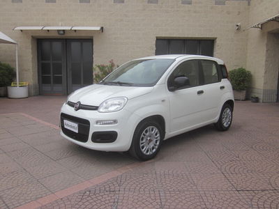 Fiat Panda 1.2 Easy usata
