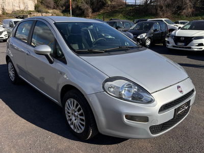 Fiat Punto 1.2 8V 5 porte Street usata