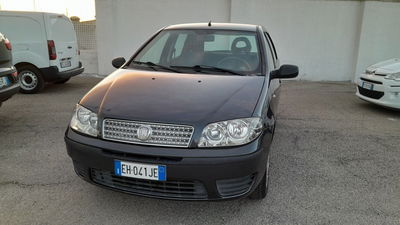 Fiat Punto Classic 1.2 5 porte Active usata