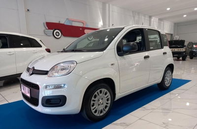 Fiat Panda 1.0 firefly hybrid Pop s&s 70cv nuova