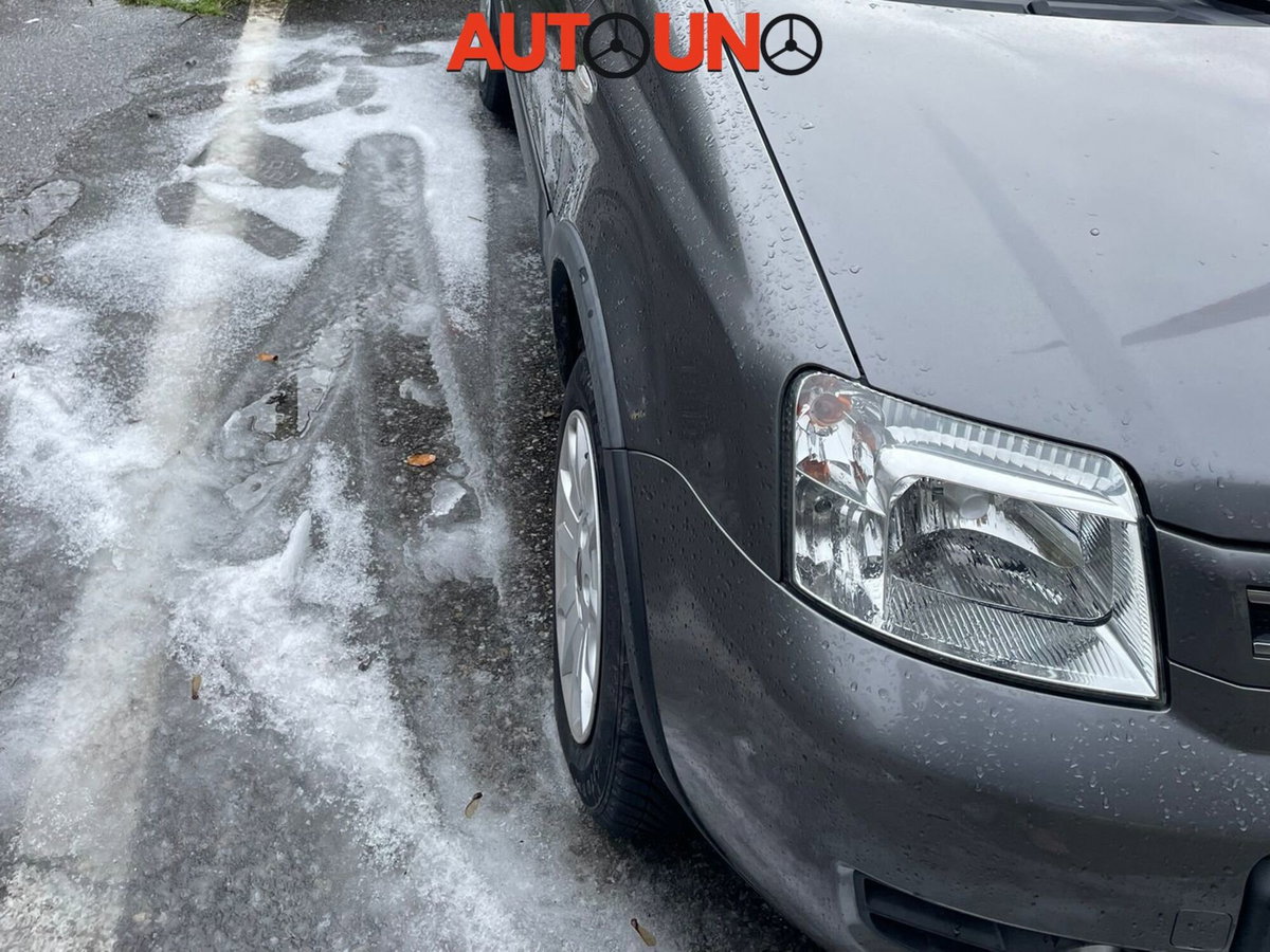 Fiat Panda 1.2 4x4 Climbing (14)