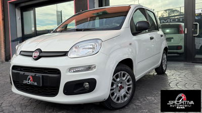 Fiat Panda 1.2 Easy usata