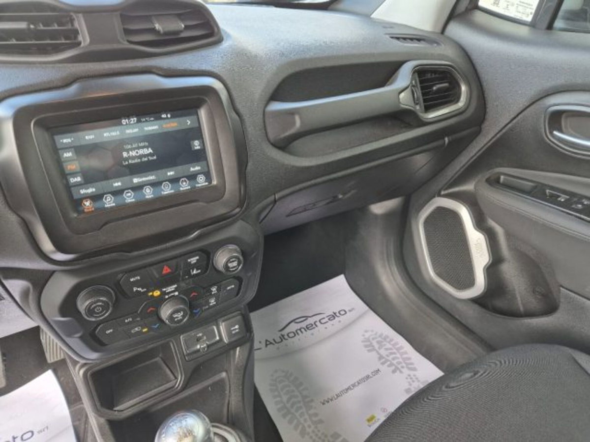 Jeep Renegade 1.6 Mjt 130 CV Business (8)