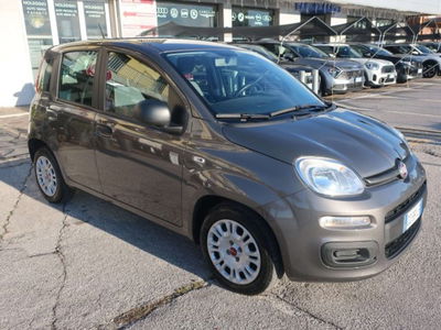 Fiat Panda 1.0 firefly hybrid s&s 70cv 5p.ti usata