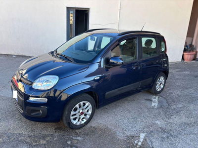 Fiat Panda 1.2 Lounge usata