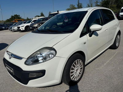Fiat Punto Evo 1.3 MJT 75 DPF S&S 5p.Van Act. usata