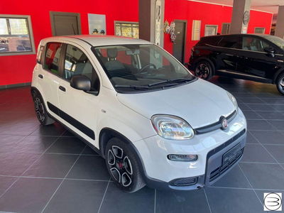 Fiat Panda 1.0 FireFly S&S Hybrid City Cross usata