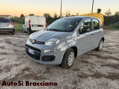 Fiat Panda 1.2 Easy usata