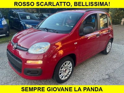 Fiat Panda 1.2 usata