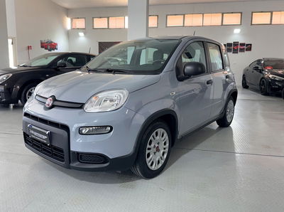 Fiat Panda 1.0 FireFly S&S Hybrid usata