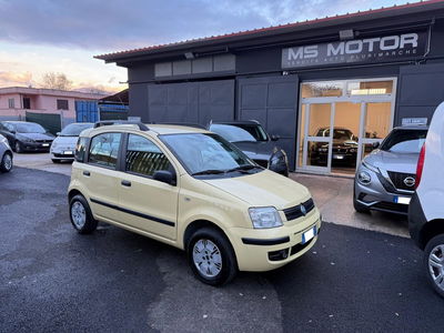 Fiat Panda 1.2 Dynamic usata