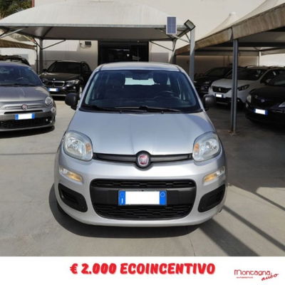 Fiat Panda 1.2 EasyPower Easy usata