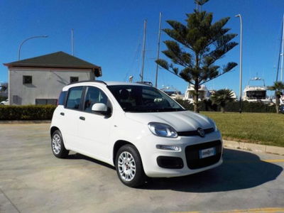 Fiat Panda 1.2 Easy usata