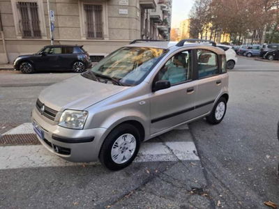 Fiat Panda 1.2 Dynamic usata