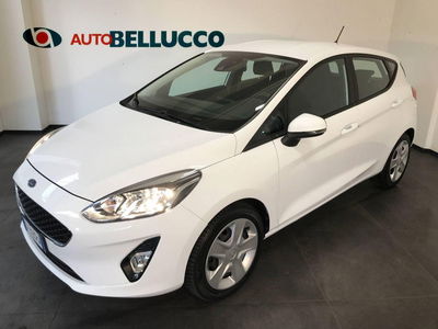 Ford Fiesta 1.1 85 CV 5 porte Plus usata
