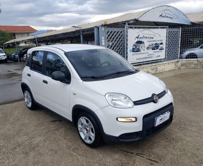 Fiat Panda 1.0 firefly hybrid s&s 70cv 5p.ti usata