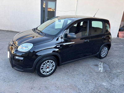 Fiat Panda 1.0 FireFly S&S Hybrid City Cross usata