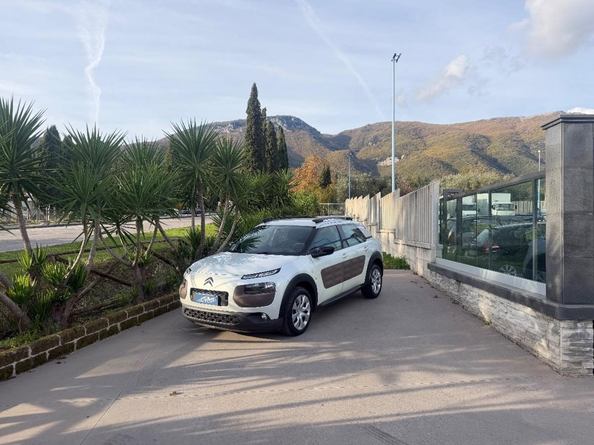 Citroen C4 Cactus BlueHDi 100 Shine