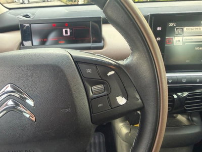 Citroen C4 Cactus BlueHDi 100 Shine (19)