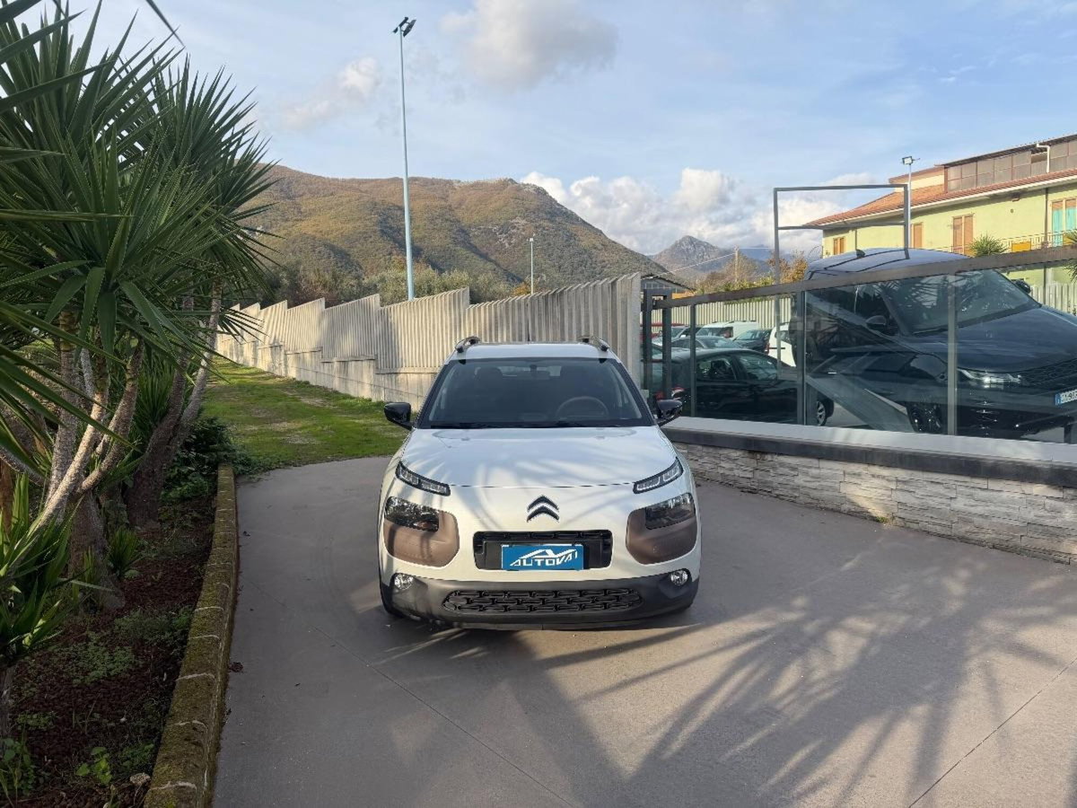 Citroen C4 Cactus BlueHDi 100 Shine (2)